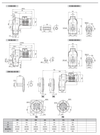 Chiaravalli CH-G D 303 shaft mounted gear unit — dimension sheet 1 of 2 (catalogue p184)