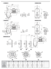 Chiaravalli CH-G D 403 shaft mounted gear unit — dimension sheet 1 of 2 (catalogue p188)