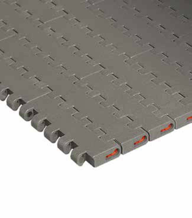 D2K 1600 Series Matveyor modular belt — Regina