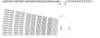 UP HF 4650 Series (Ri 1280 mm) dimension drawing — Regina Conveyor Catalogue p278