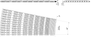 UP HF 4650 Series (Ri 770 mm) dimension drawing — Regina Conveyor Catalogue p277